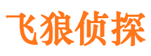 临西市侦探调查公司